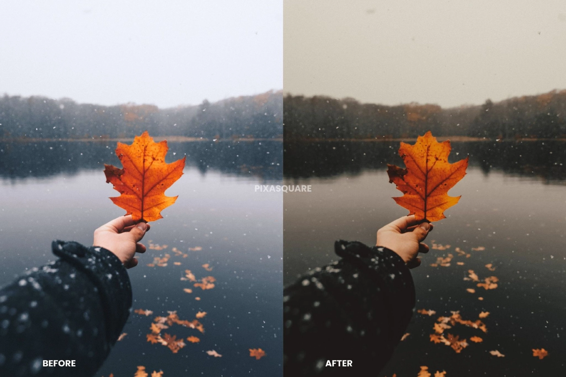 Moody Fall Lightroom Presets