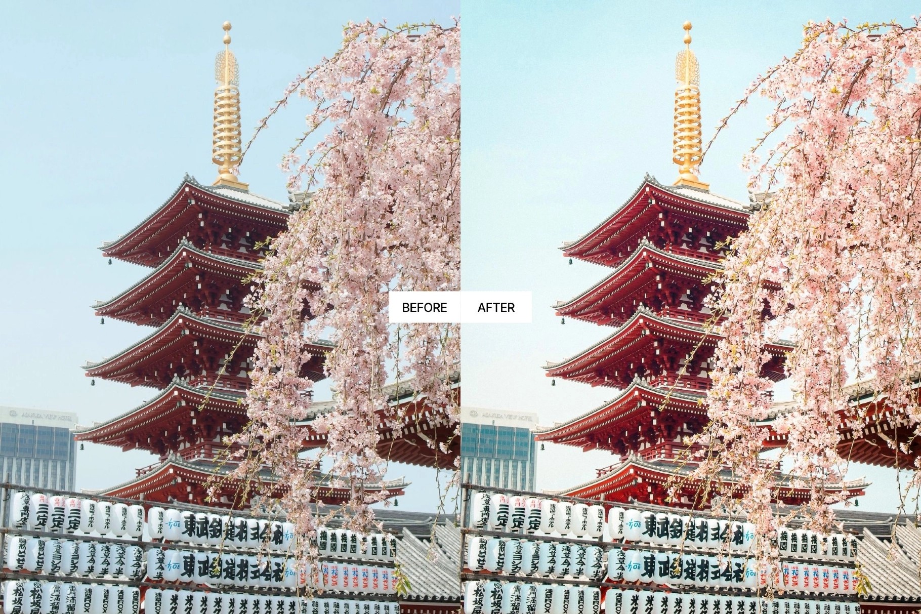 Japan Travel Lightroom Presets