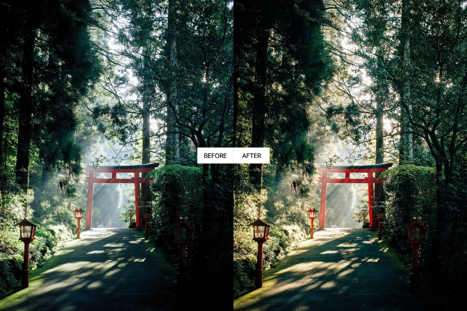 Japan Travel Lightroom Presets