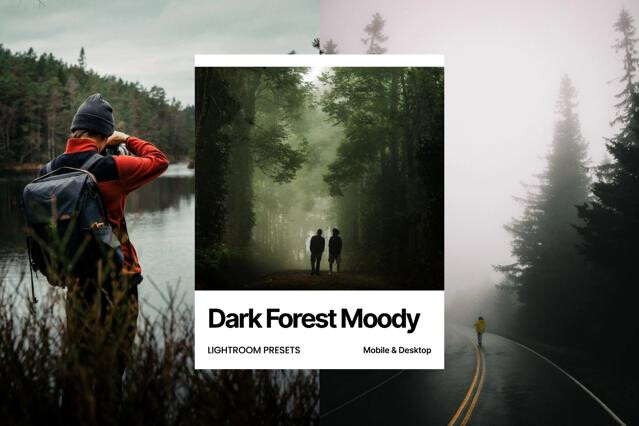 Dark Forest Moody Lightroom Presets