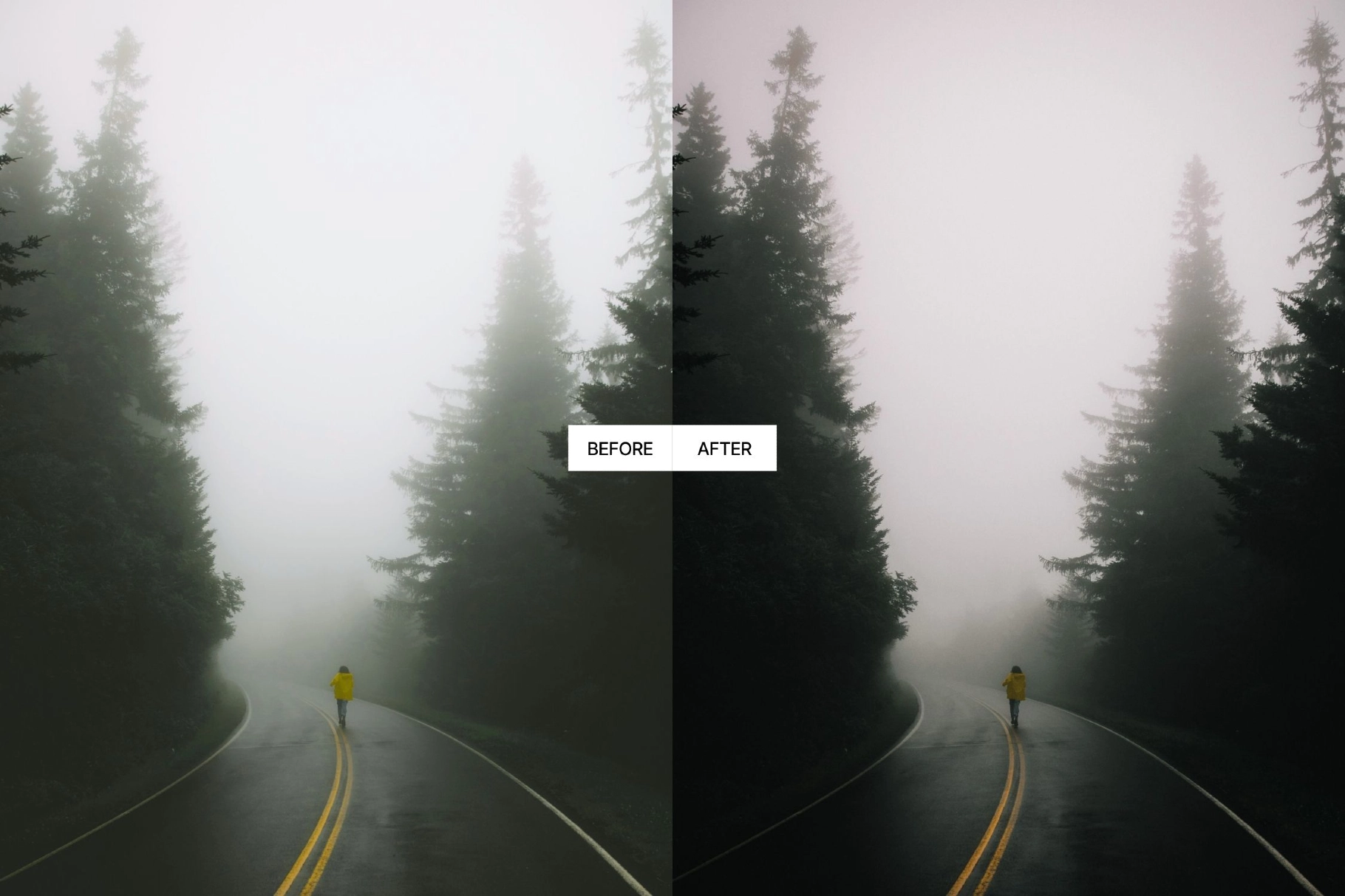 Dark Forest Moody Lightroom Presets