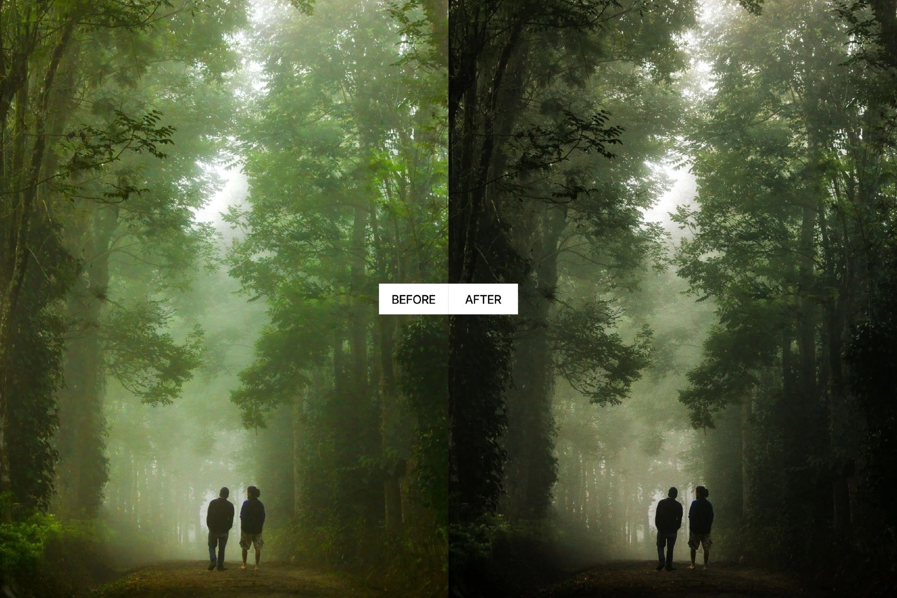 Dark Forest Moody Lightroom Presets