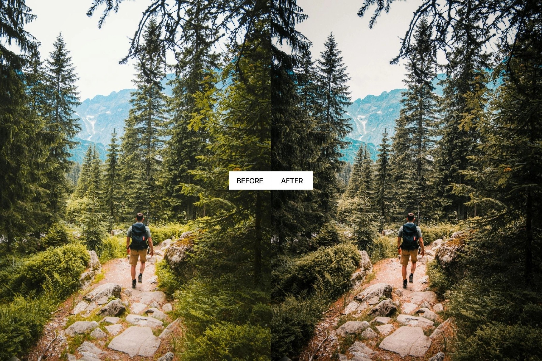Dark Forest Moody Lightroom Presets