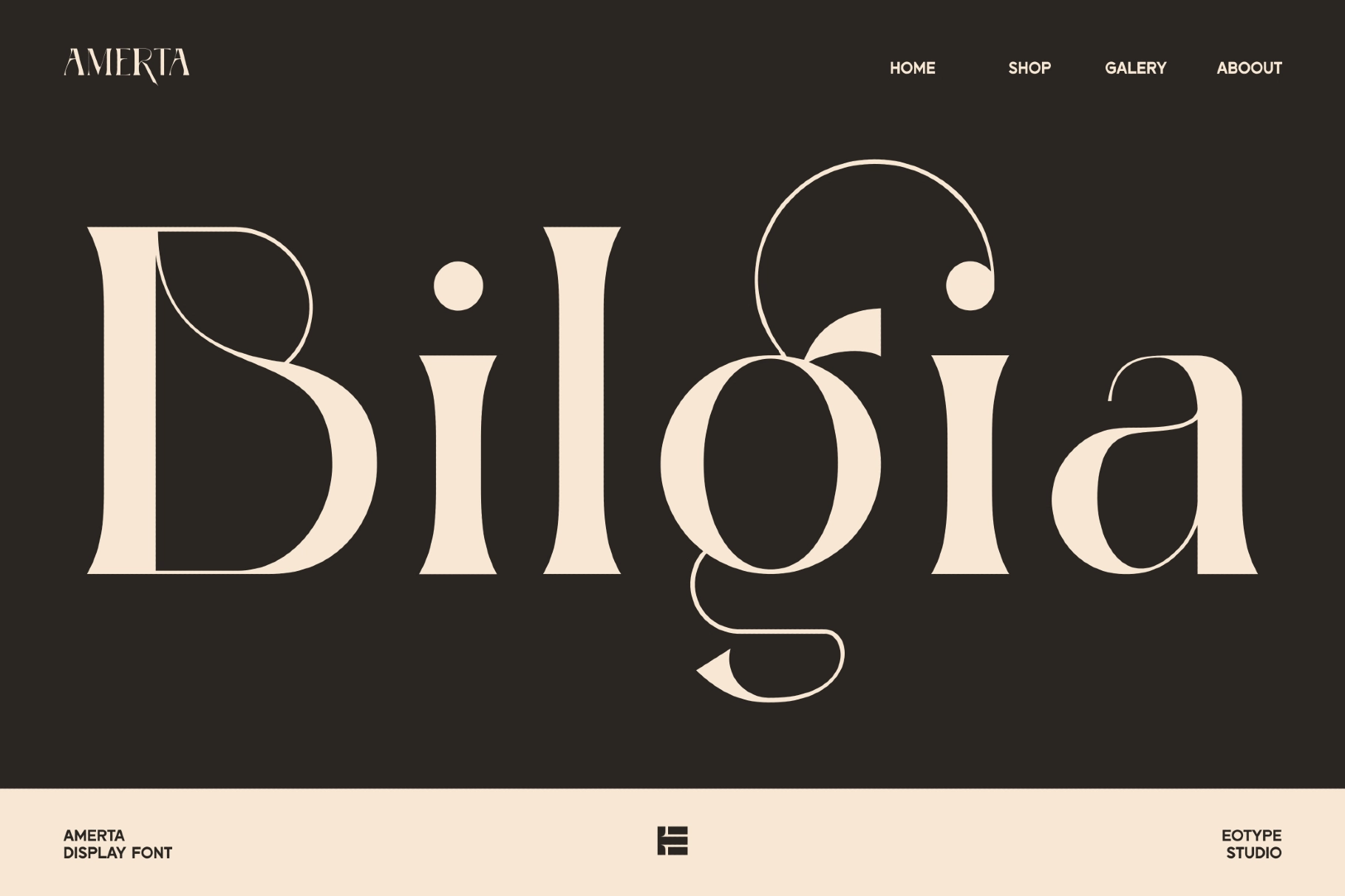 Amerta - High Contrast Serif Font