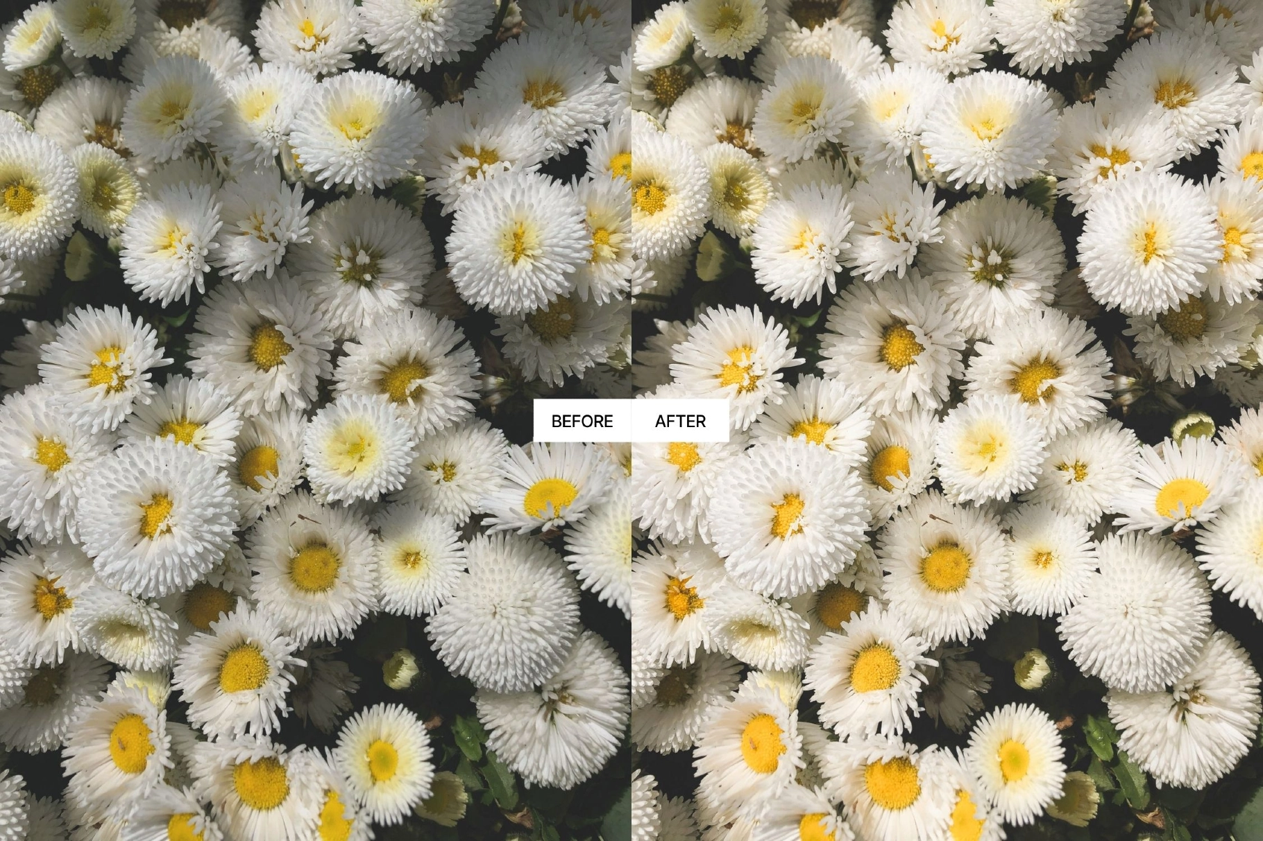 Bright Modern Aesthetic Lightroom Presets
