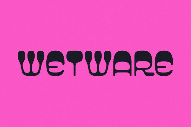 Wetware - Modern Groovy Font