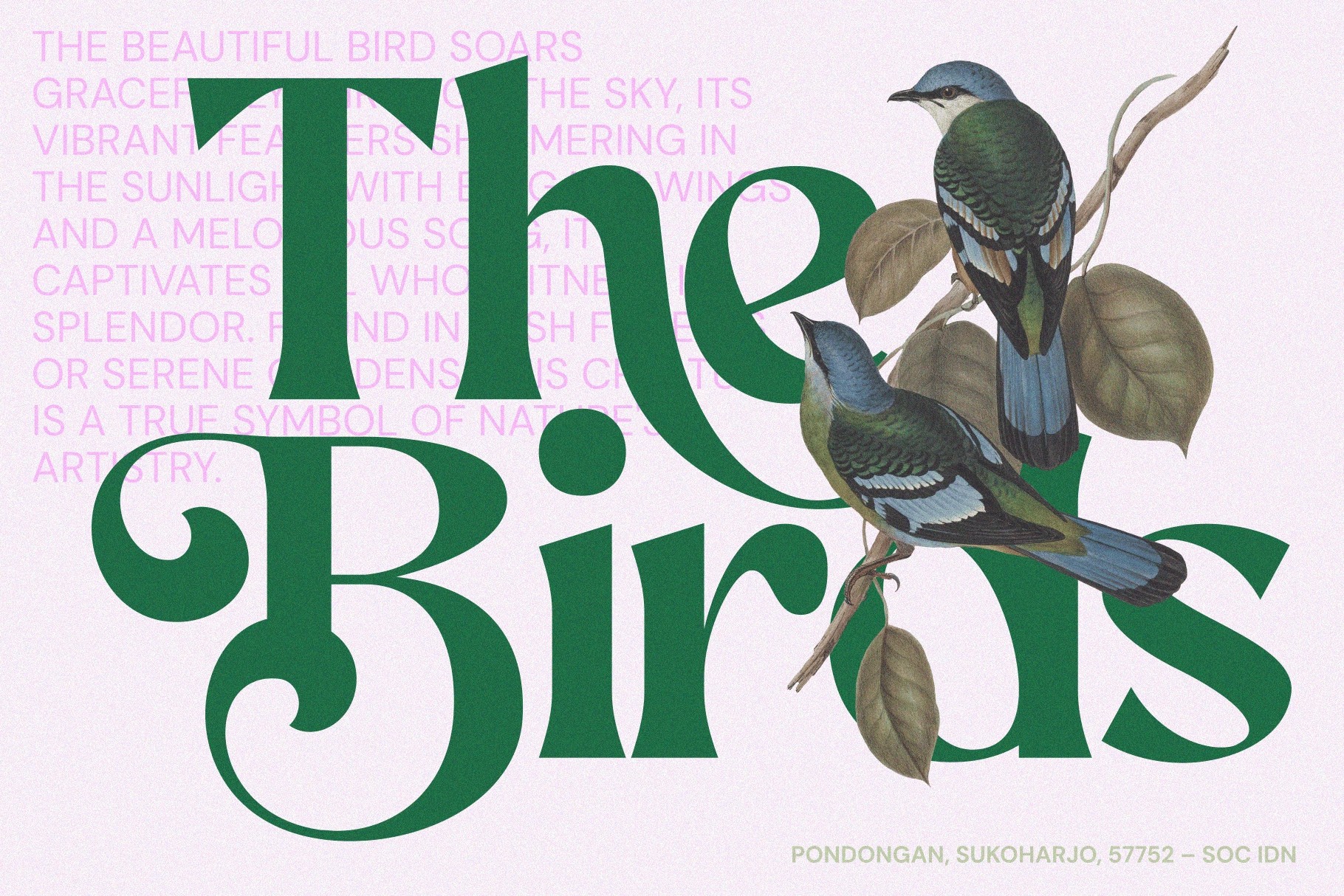 AEKIY KAGON — Elegant Swash Serif Font