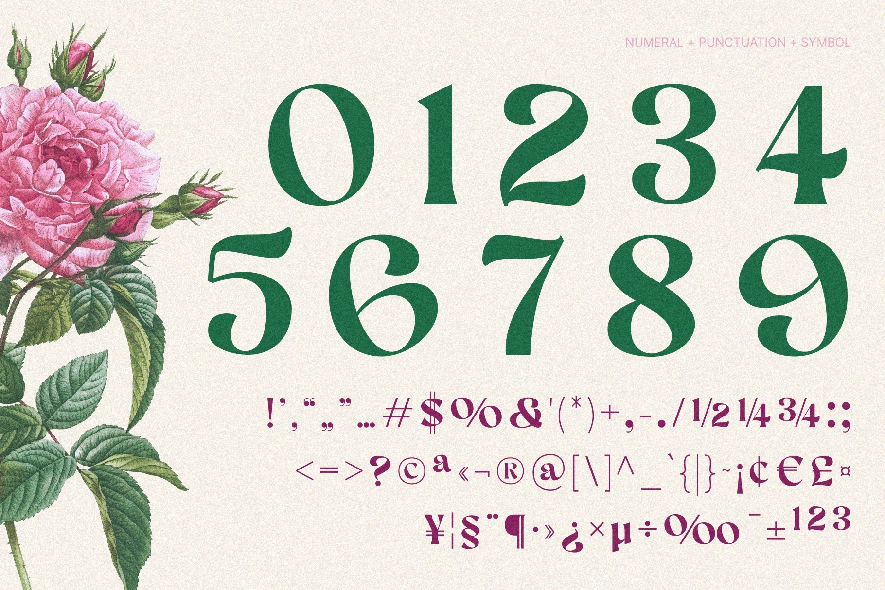 AEKIY KAGON — Elegant Swash Serif Font