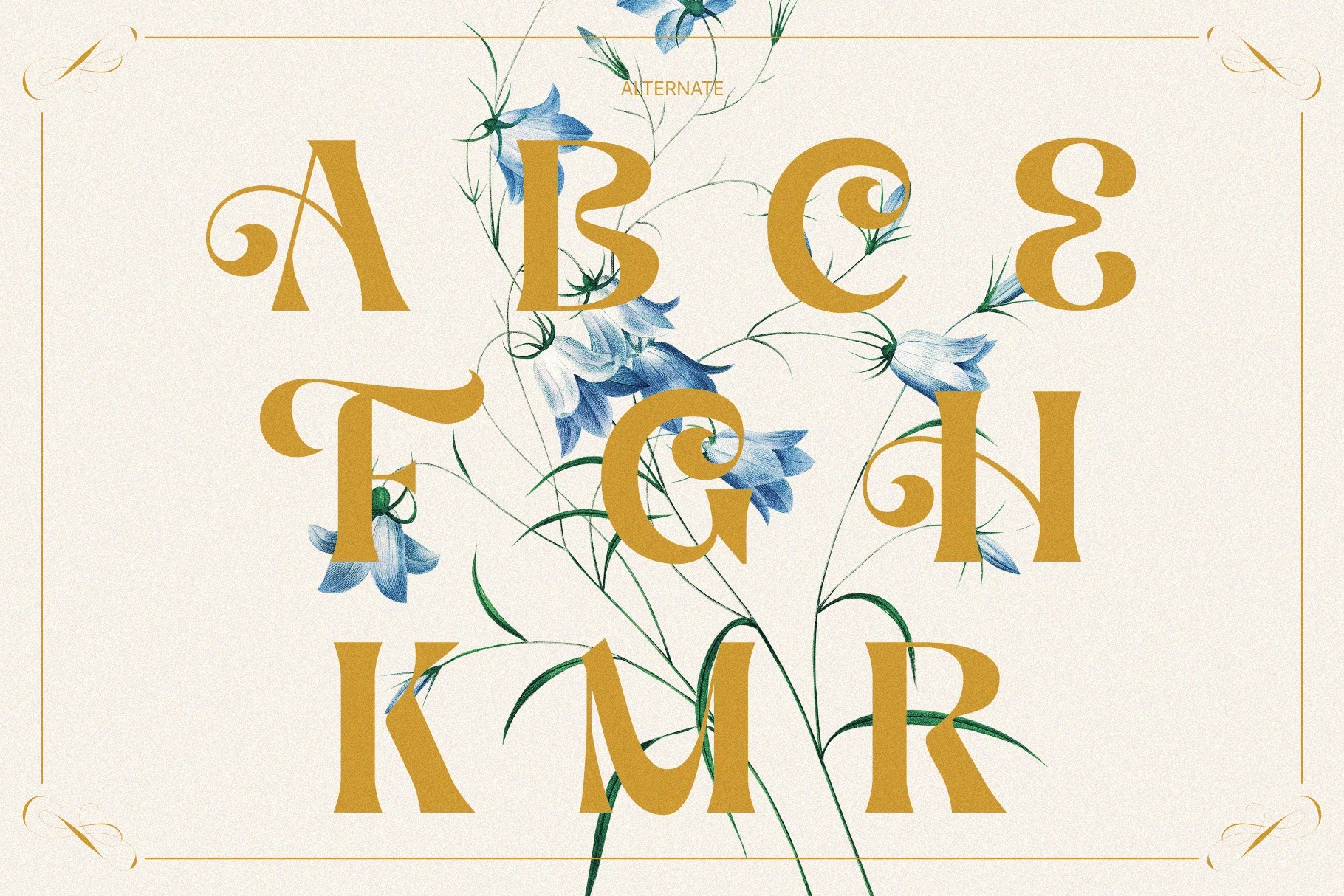 AEKIY KAGON — Elegant Swash Serif Font