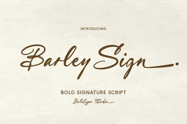 Barley Sign - Bold Signature Script Font