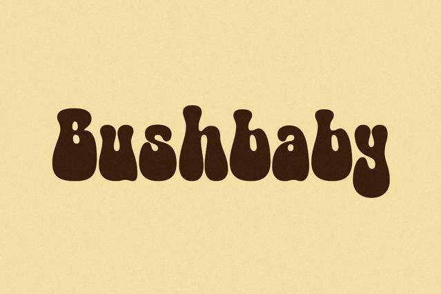 Bushbaby - 70s Groovy Font