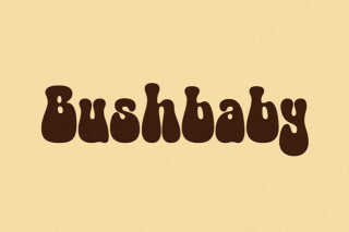 Bushbaby - 70s Groovy Font