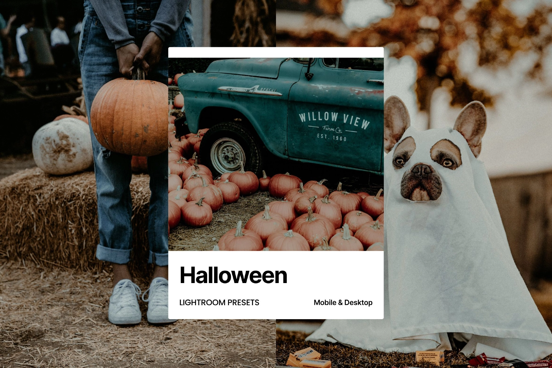 Halloween Lightroom Presets