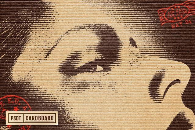Kraft Cardboard Photo Effect