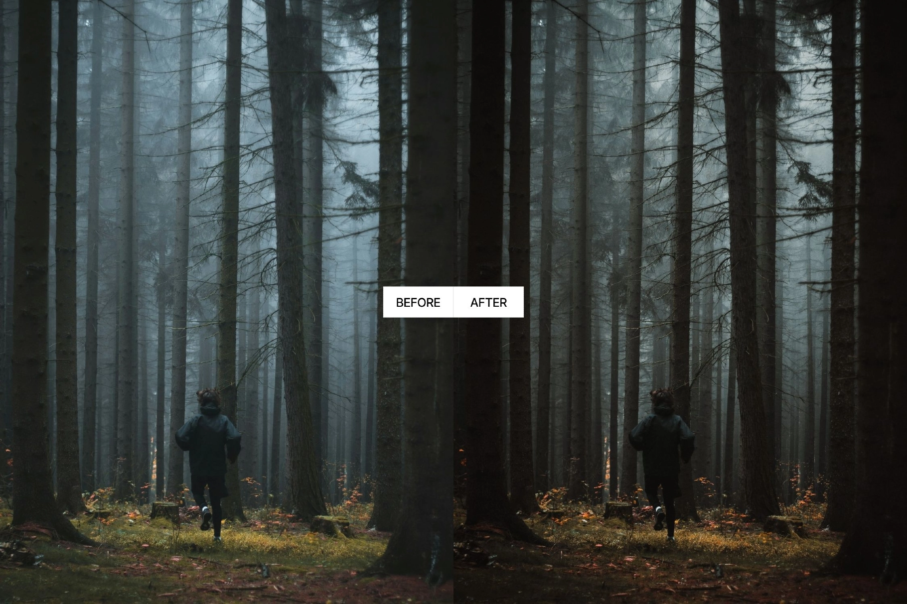 Moody Earth Tones Lightroom Presets