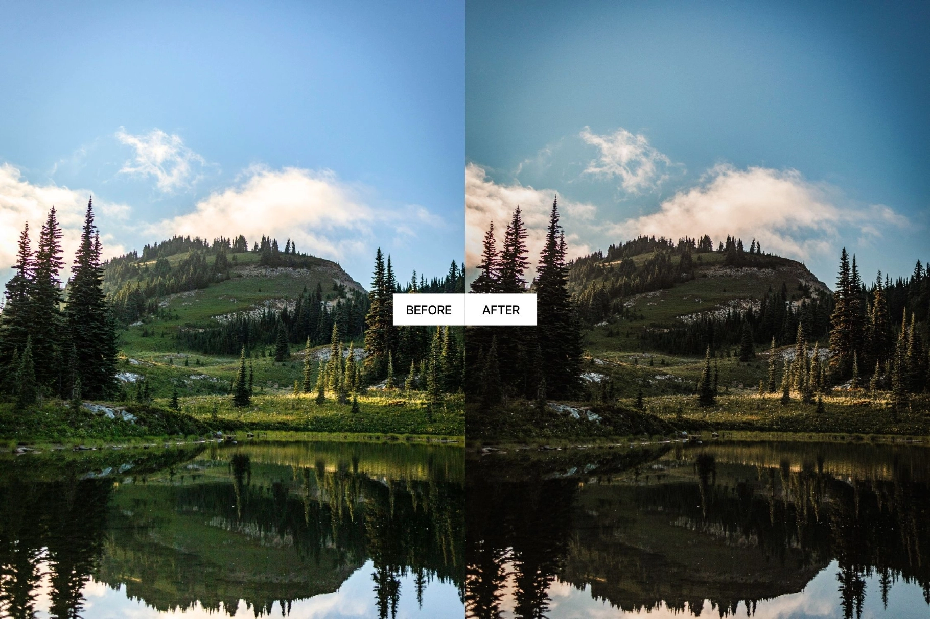 Moody Earth Tones Lightroom Presets