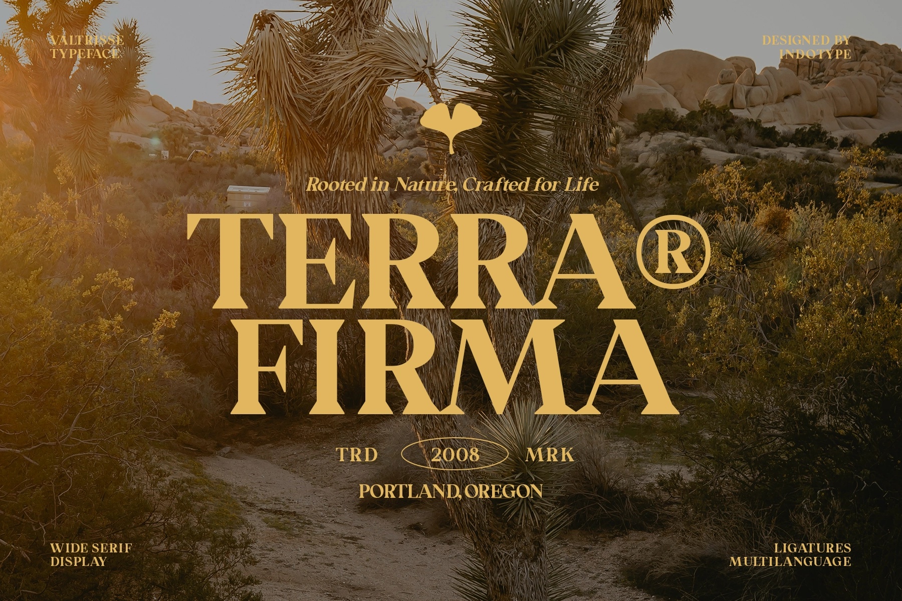 Valtrisse - Wide Serif Display Font