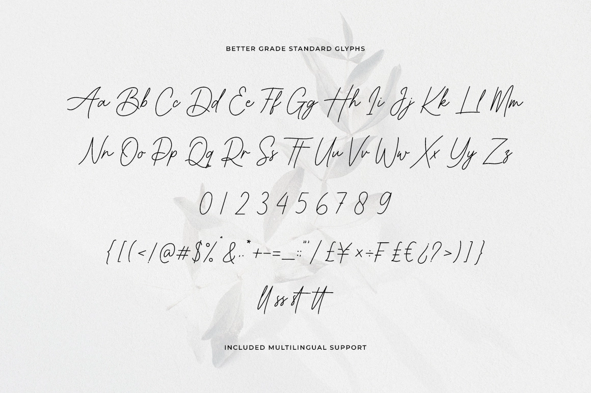 Better Grade - Elegant Signature Font