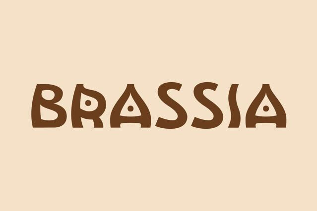 Brassia Font
