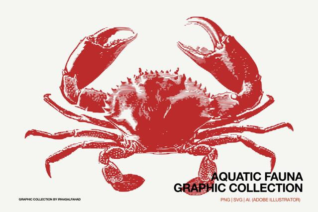 Aquatic Fauna Graphic Collection