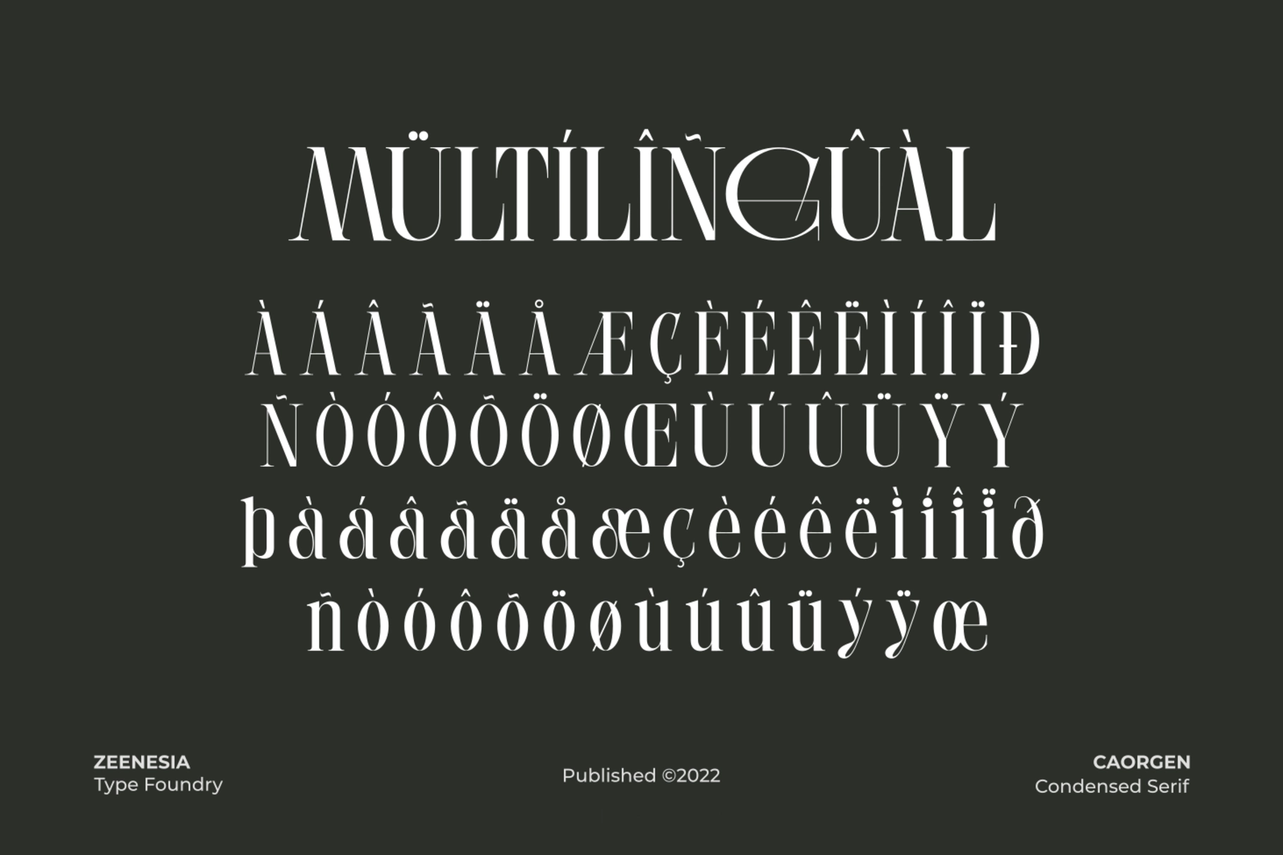 Caorgen - Fashion Display Serif Font