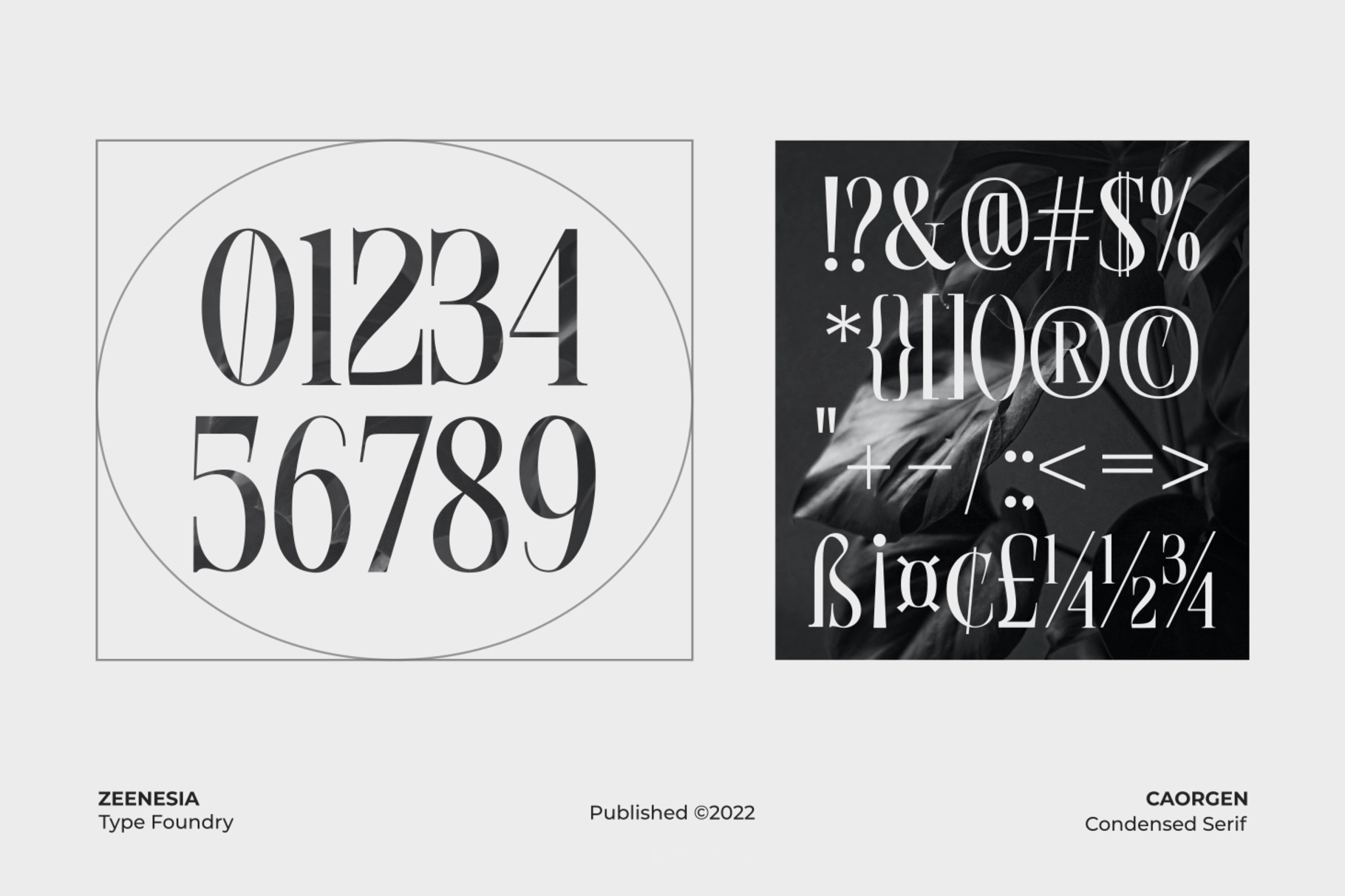 Caorgen - Fashion Display Serif Font