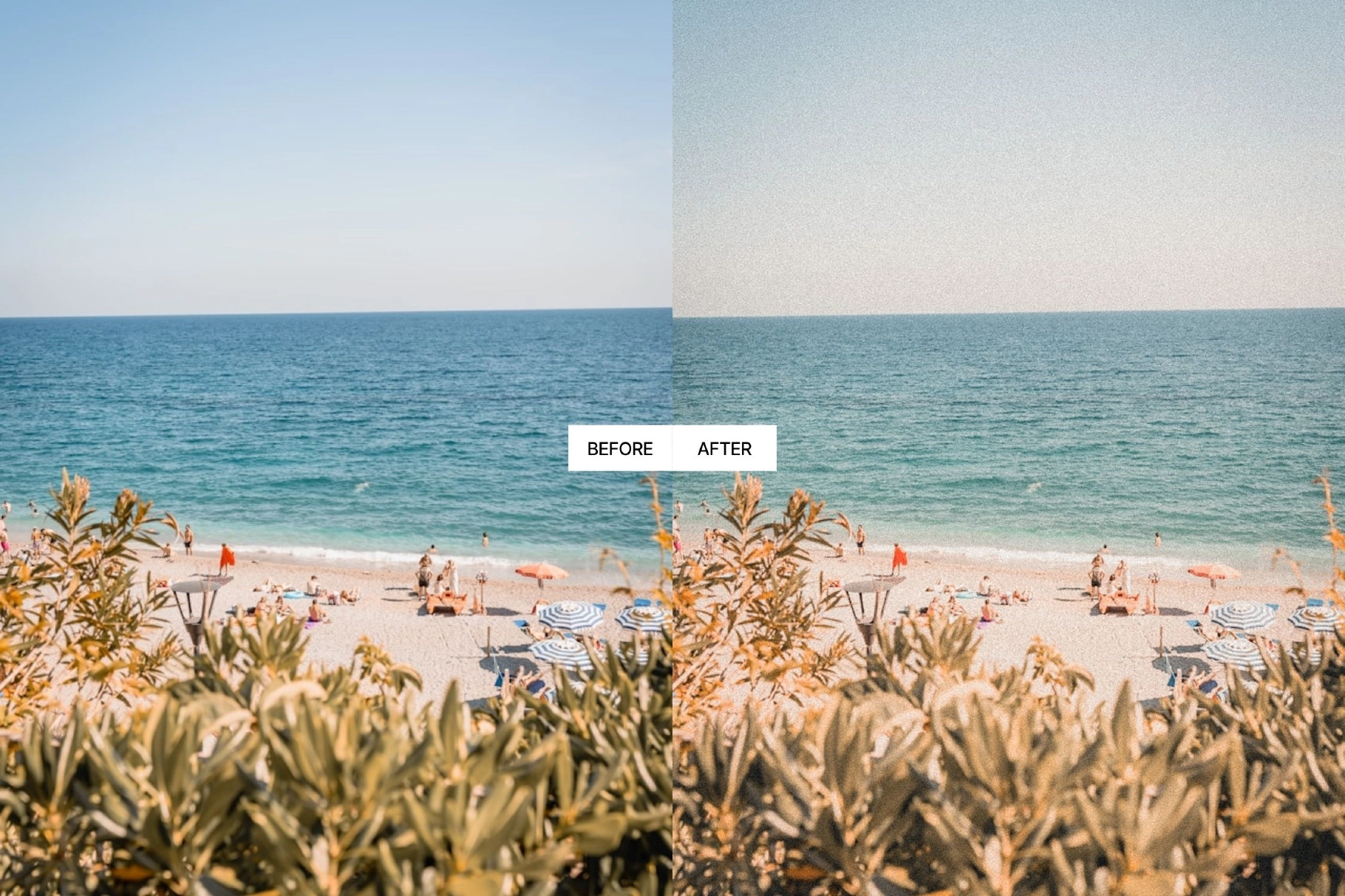 Vintage Summer Lightroom Presets