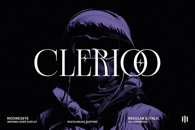 Clerioo - Serif Display Font