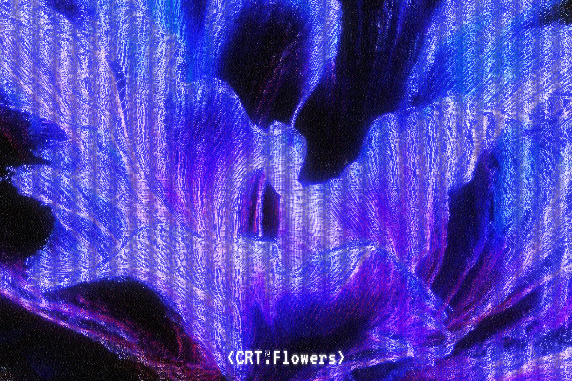 CRT Flowers Overlays
