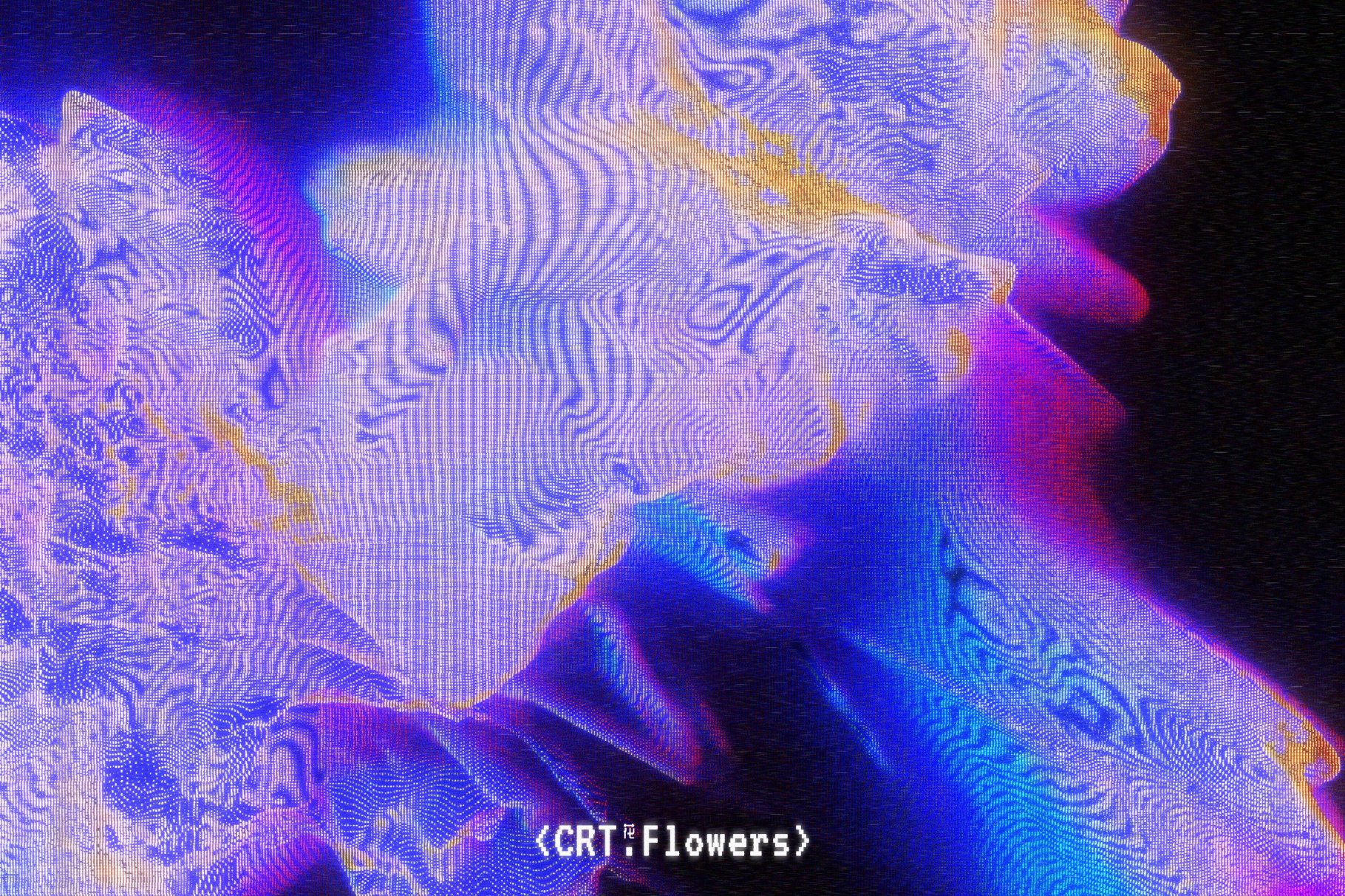 CRT Flowers Overlays