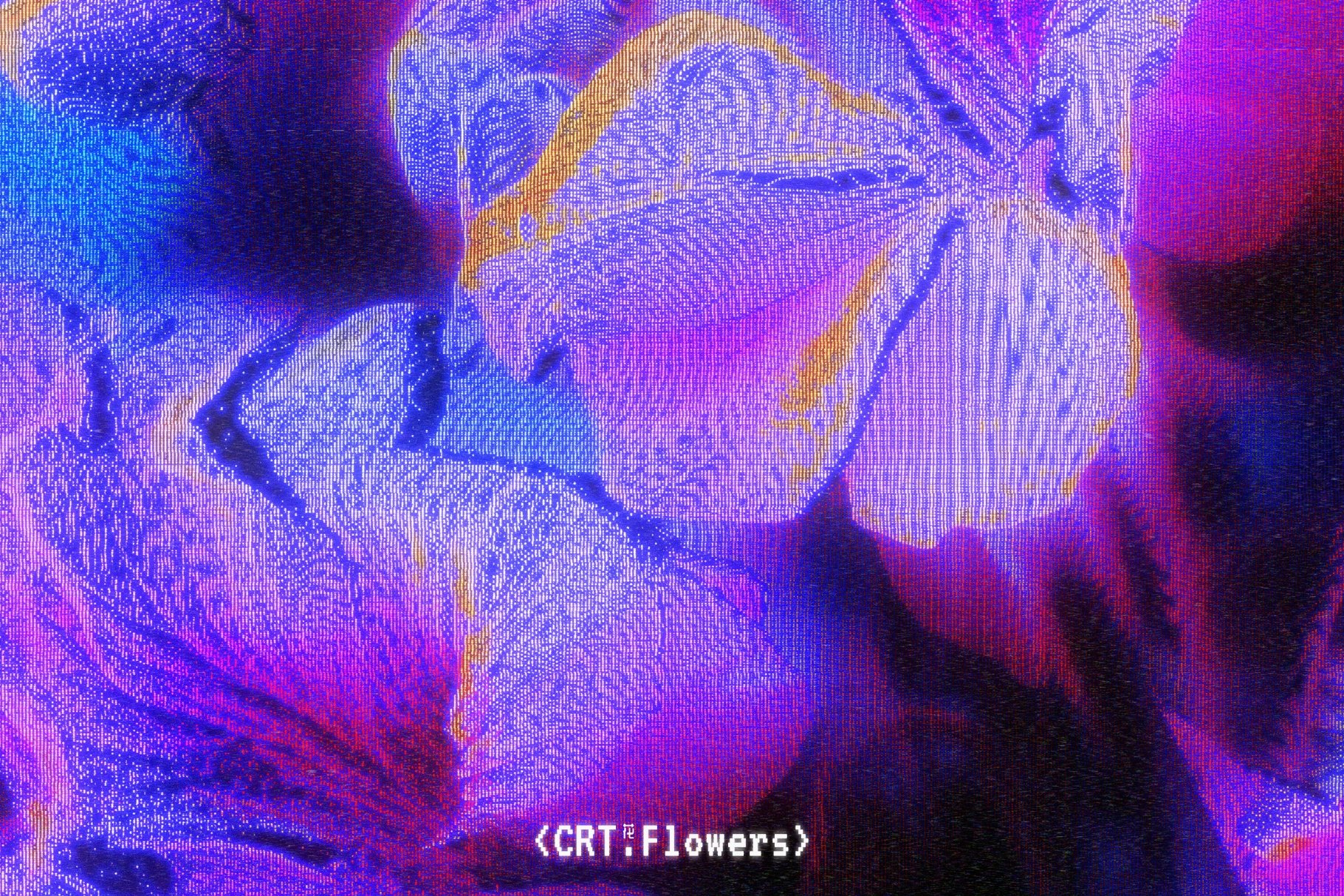 CRT Flowers Overlays