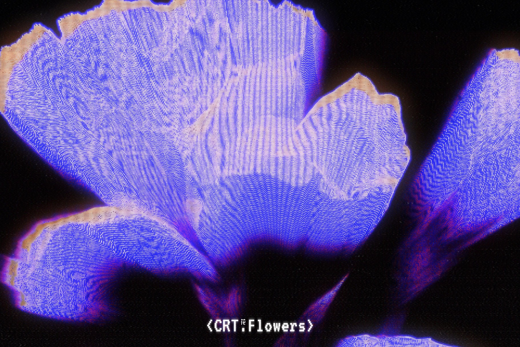 CRT Flowers Overlays