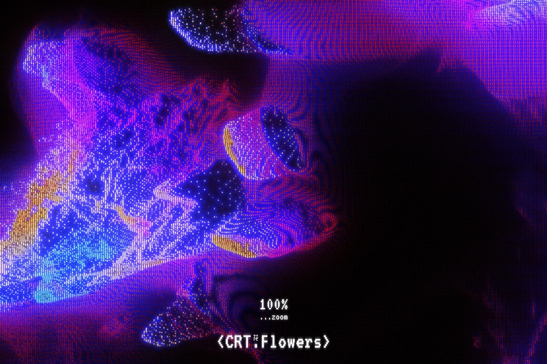 CRT Flowers Overlays
