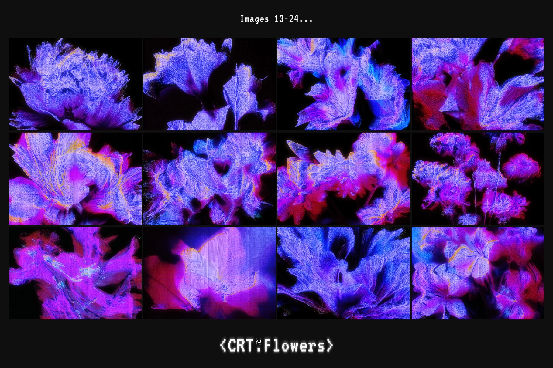 CRT Flowers Overlays