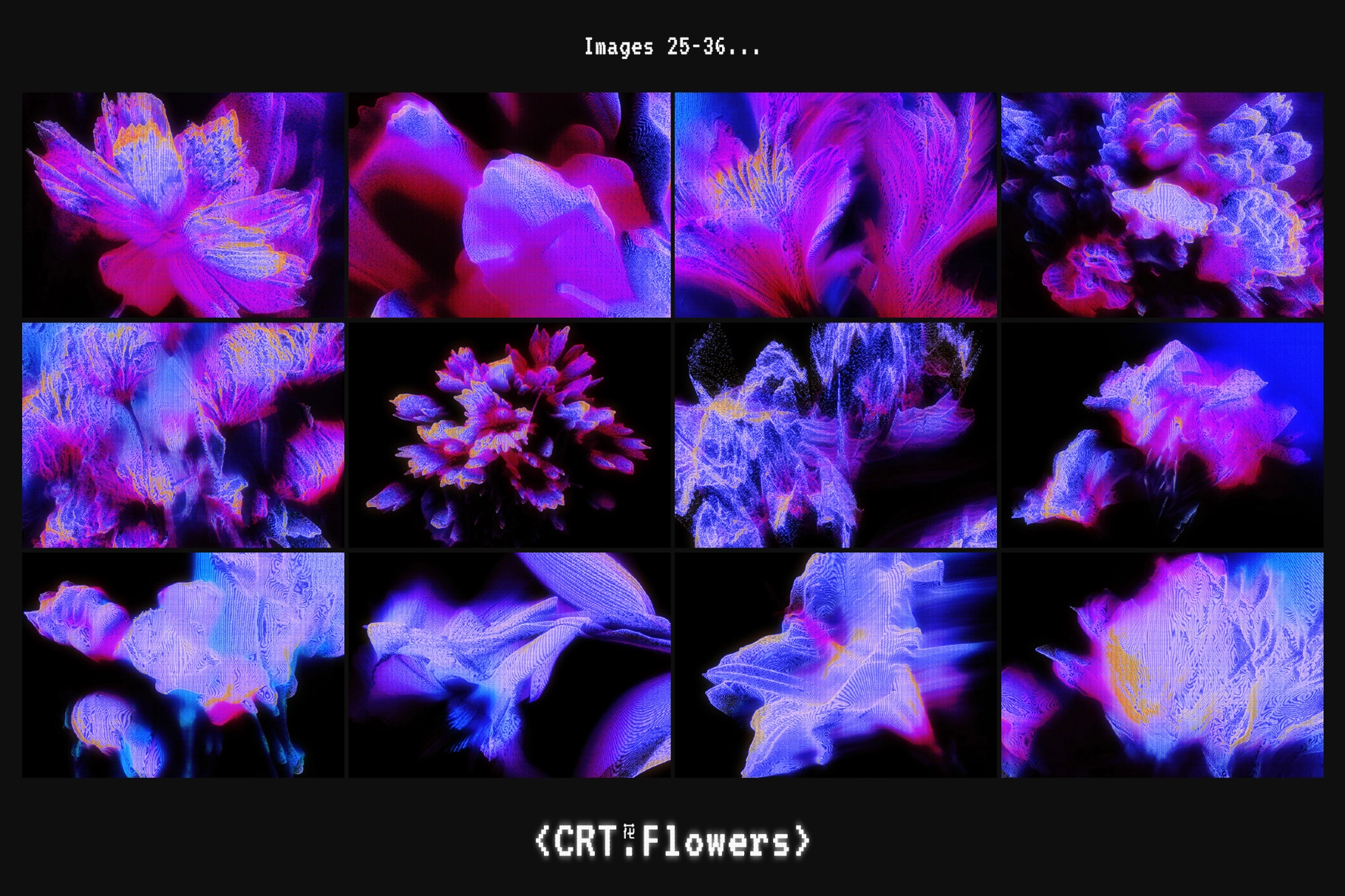CRT Flowers Overlays
