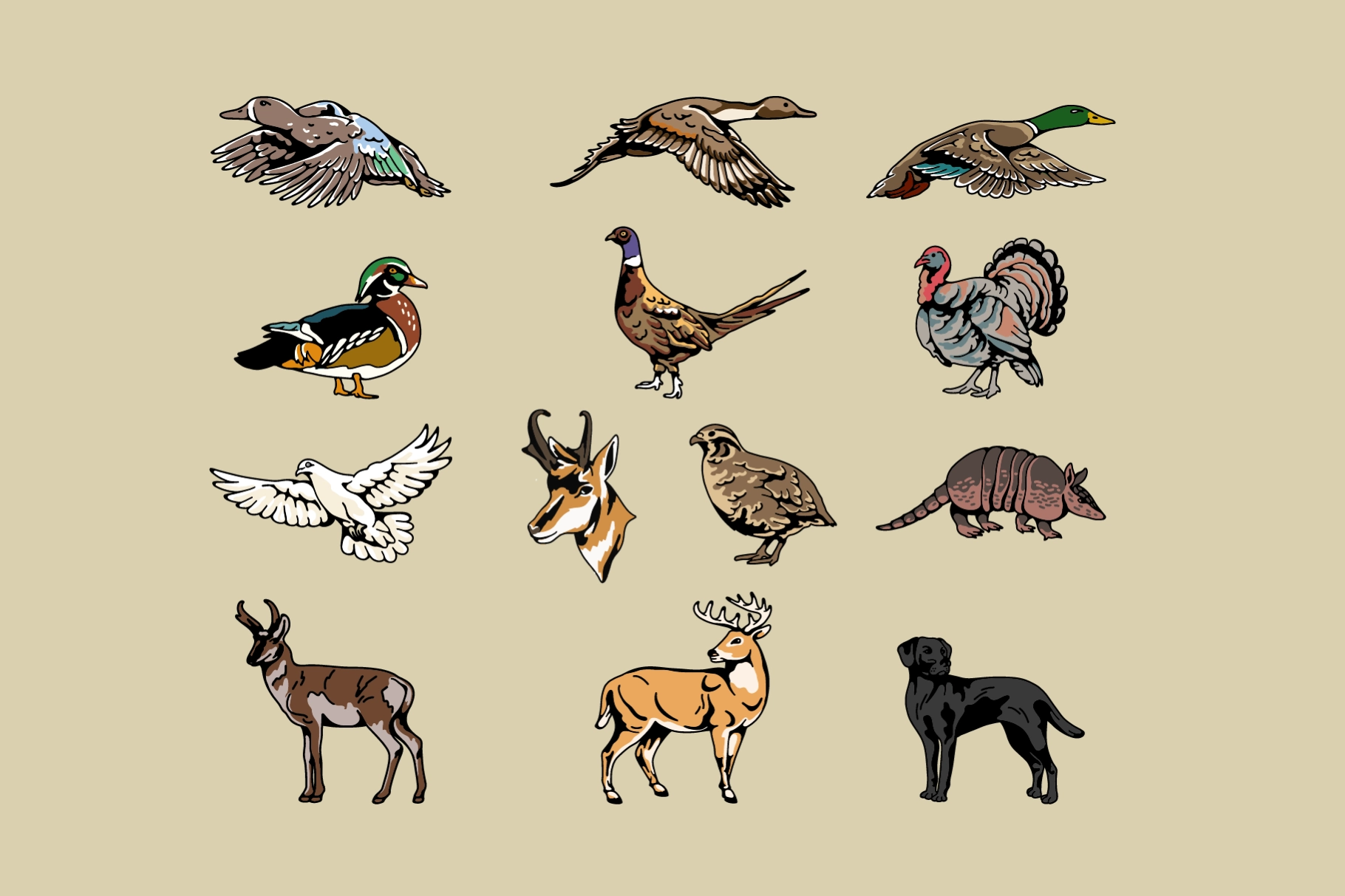 Animal Hunt Badge Collection