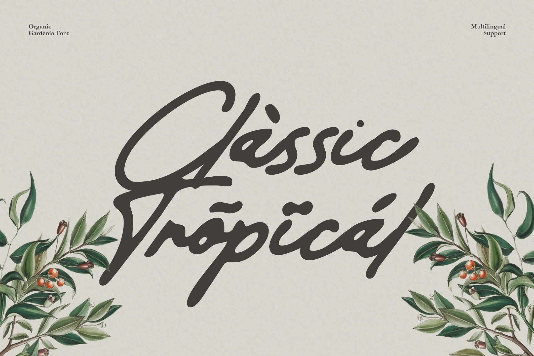 Organic Gardenia - Old Handwritten Script Font