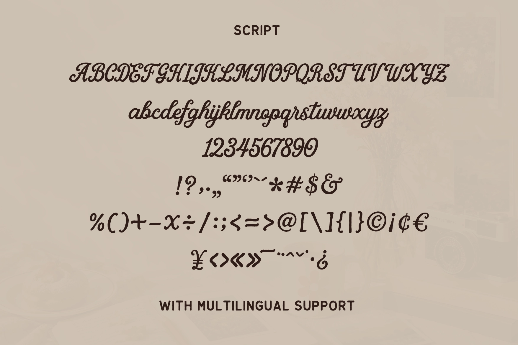 Palm Bay – Vintage Summer Font Duo