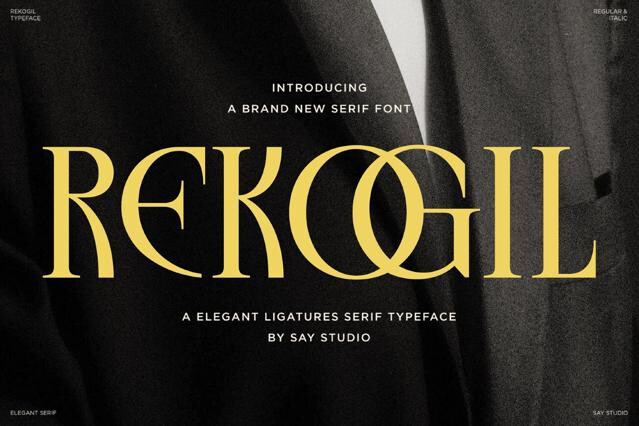 Rekogil - Luxury Ligature Serif Font