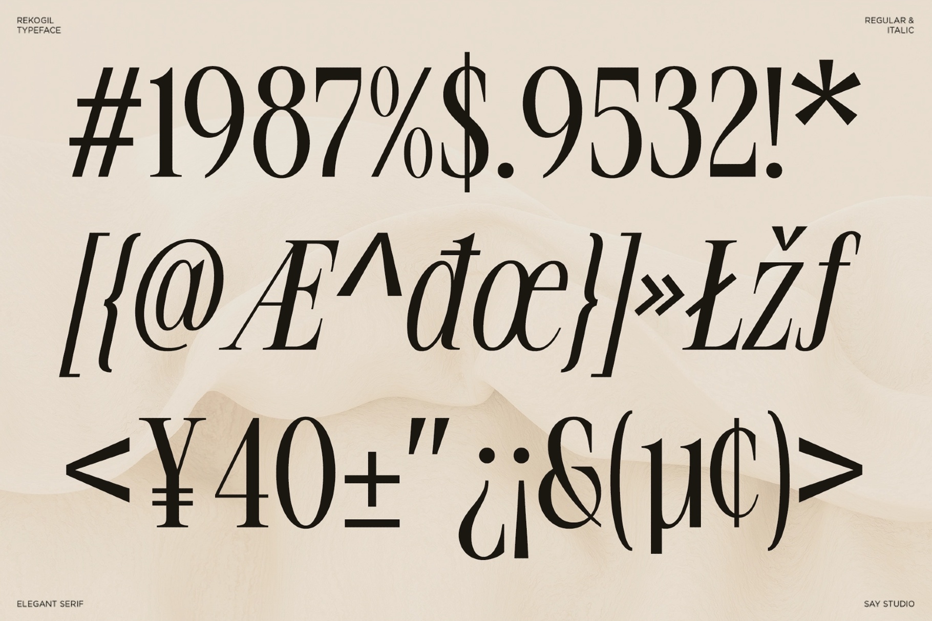 Rekogil - Luxury Ligature Serif Font