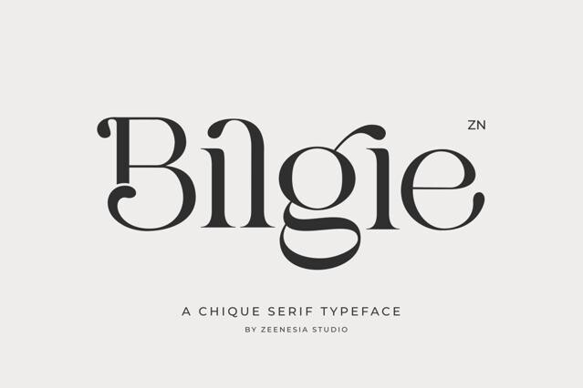 Bilgie - Chic Elegant Font