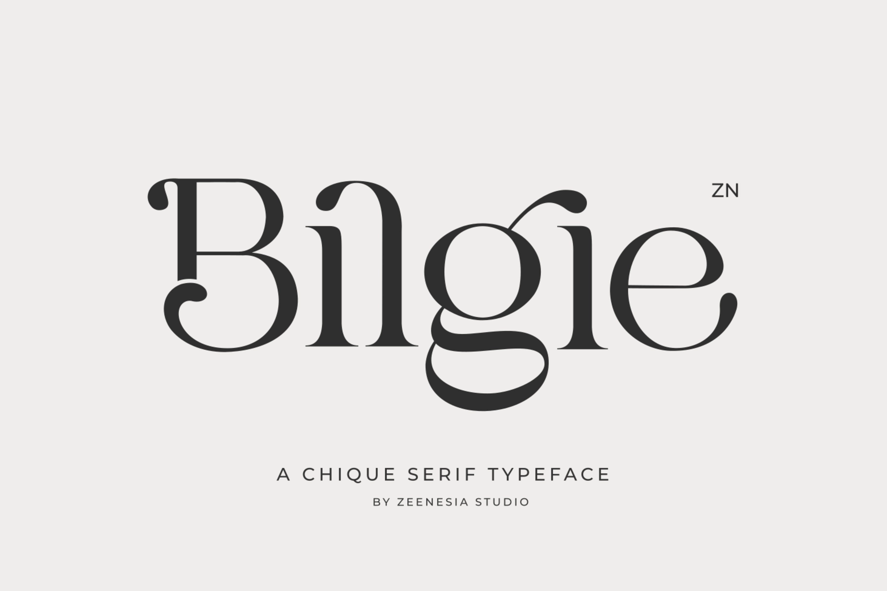 Bilgie - Chic Elegant Font