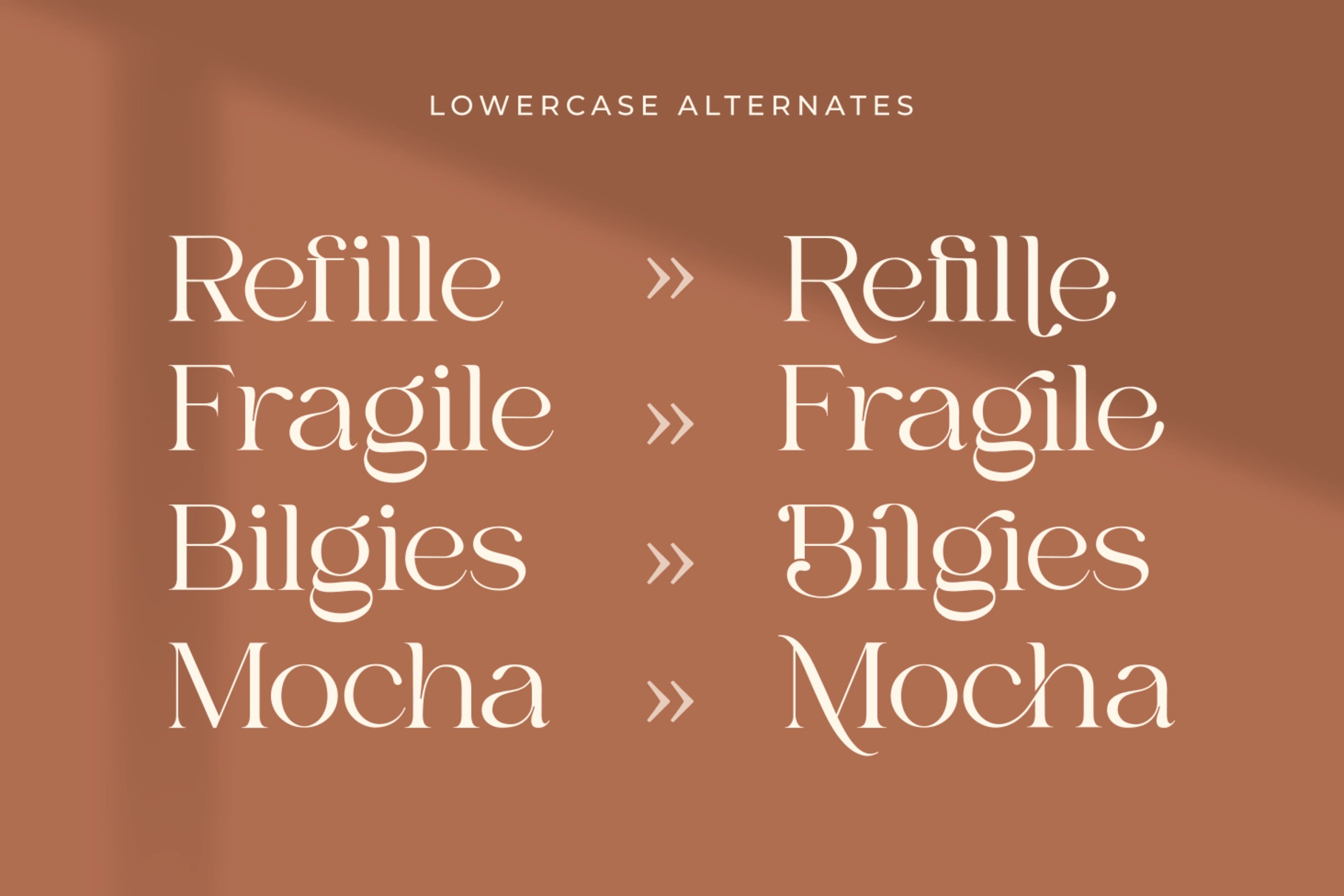 Bilgie - Chic Elegant Font