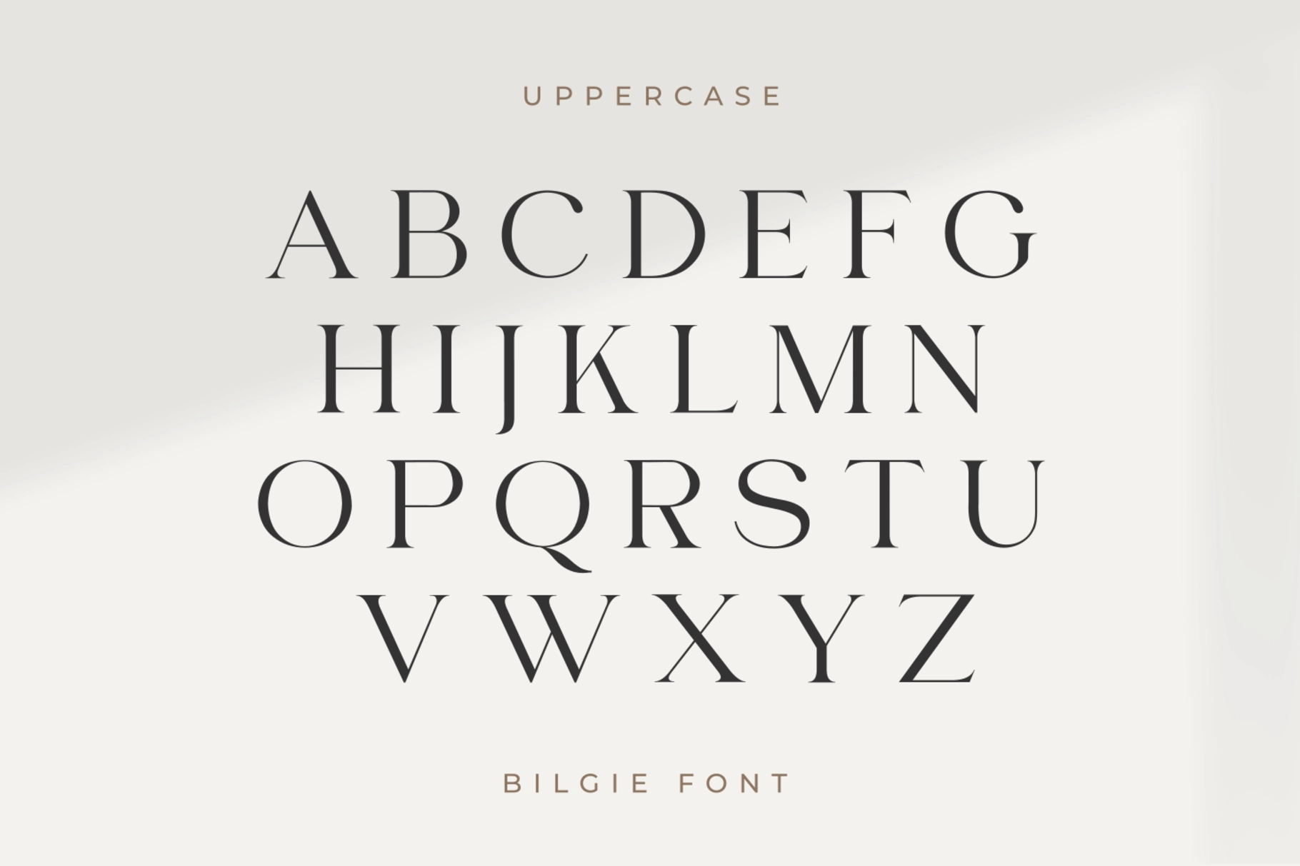 Bilgie - Chic Elegant Font