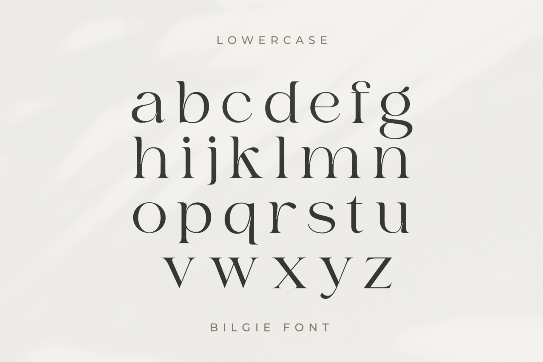 Bilgie - Chic Elegant Font