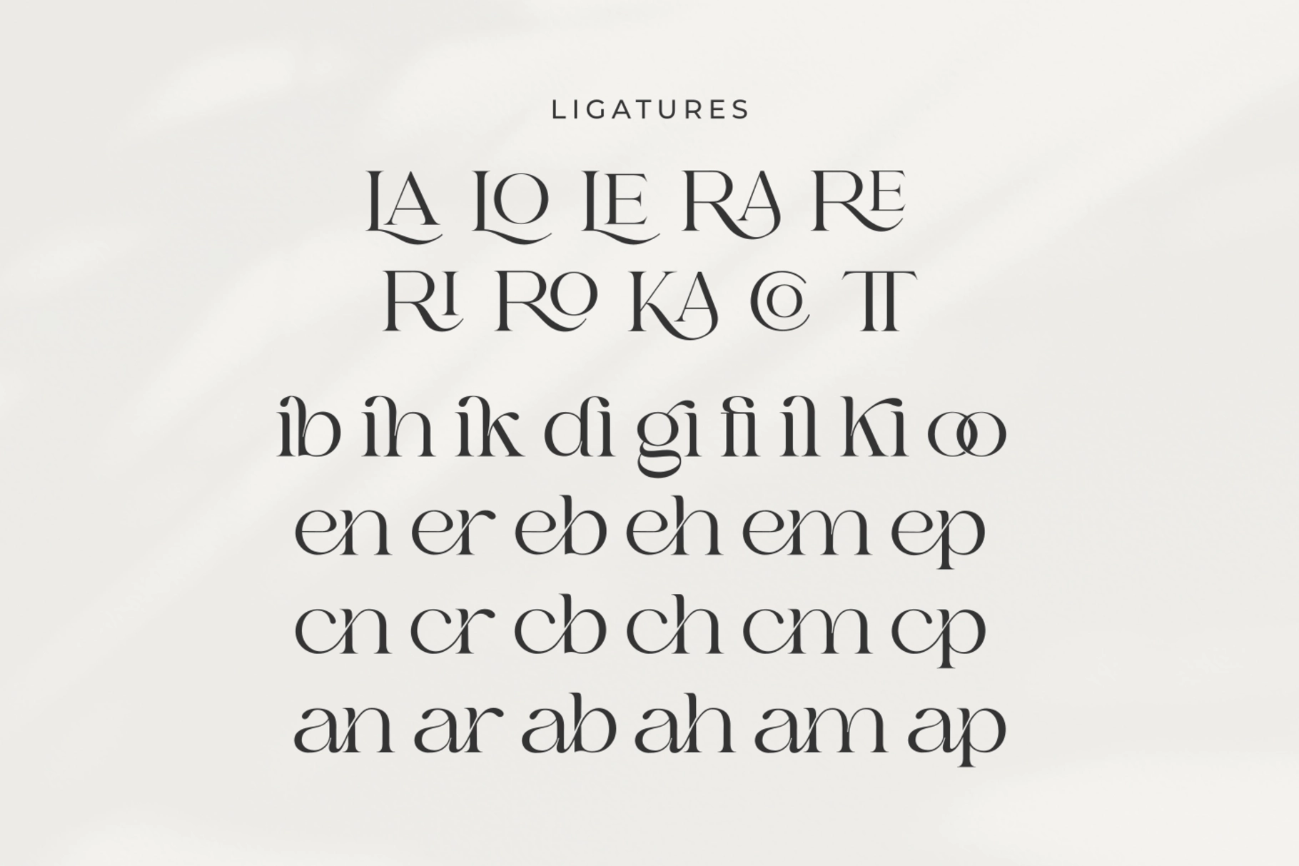 Bilgie - Chic Elegant Font