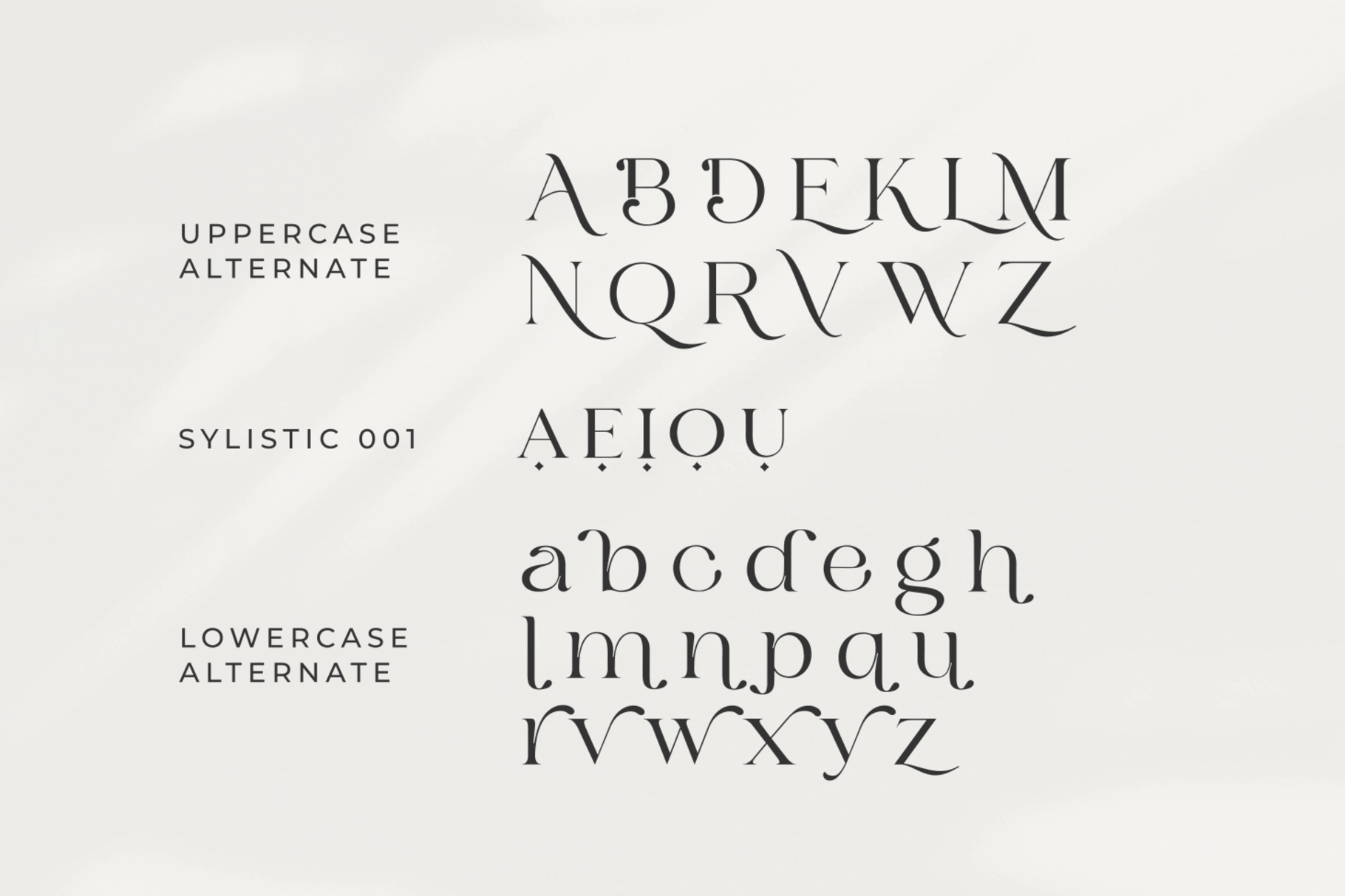 Bilgie - Chic Elegant Font