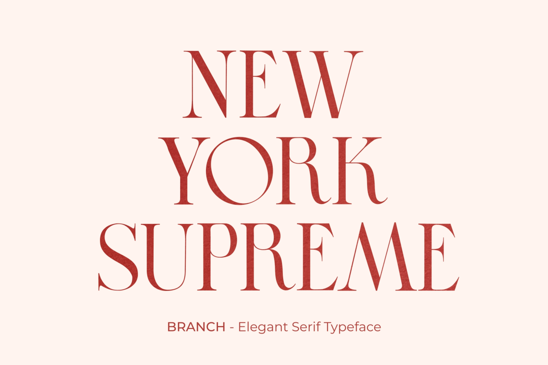 BRANCH - Elegant Serif Font