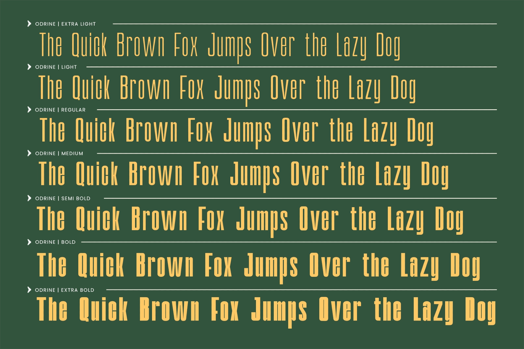 Odrine - Retro Condensed Font Family