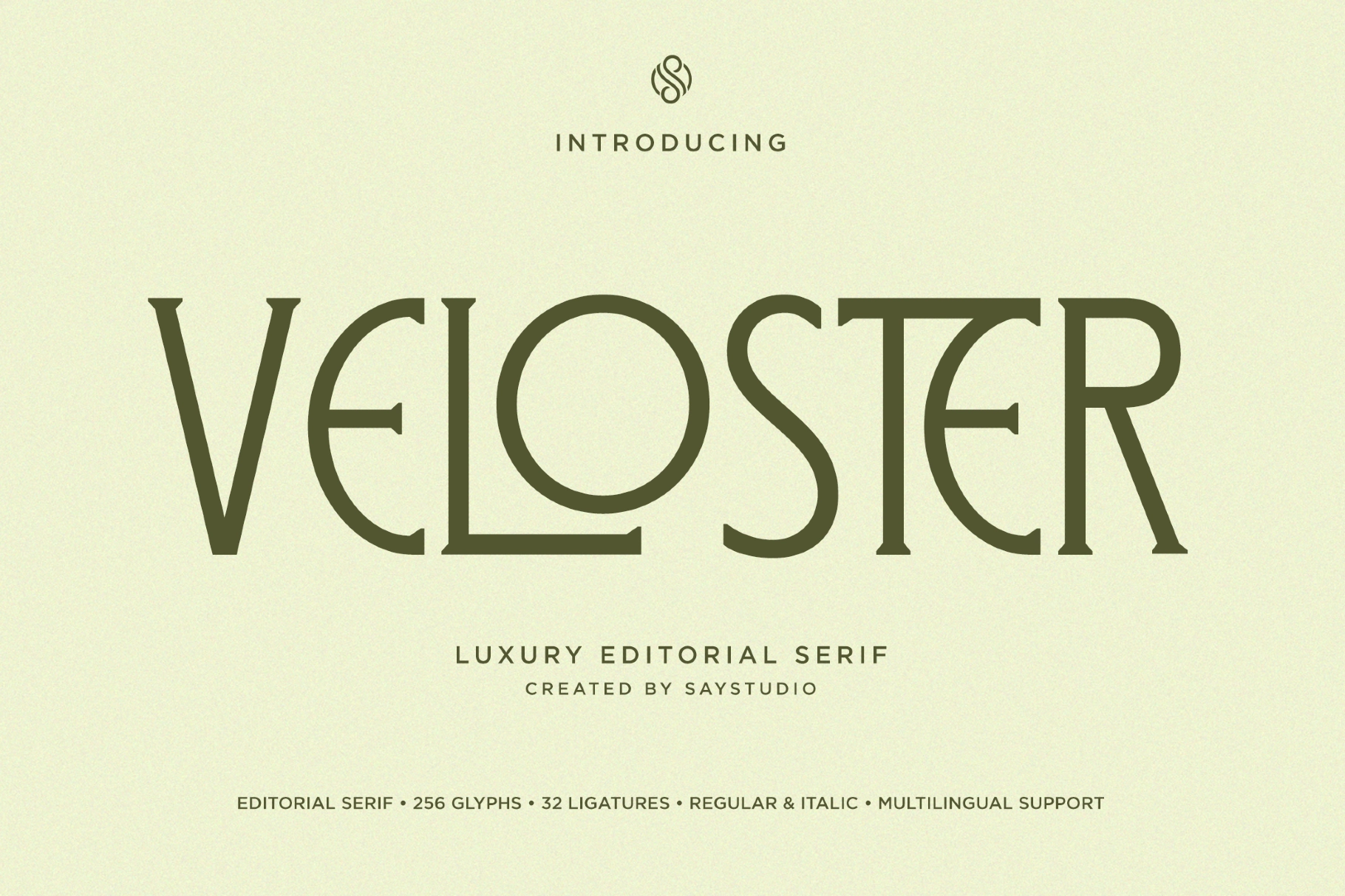 Veloster - Luxury Editorial Serif Font